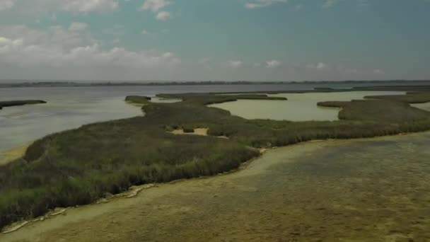Água natural e campos pantanosos — Vídeo de Stock