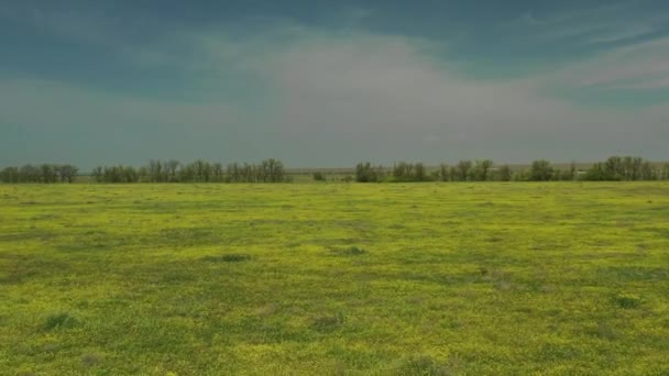 Levé aérien depuis le drone. survolant un champ fleuri — Video