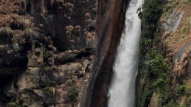 Himalayalar 'daki dağ ormanında nehir şelalesi. 