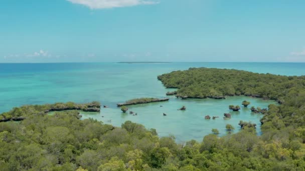 Flygfoto över Tanzaniaöarna — Stockvideo