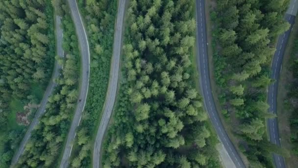 Vista aérea acima da estrada na floresta i — Vídeo de Stock