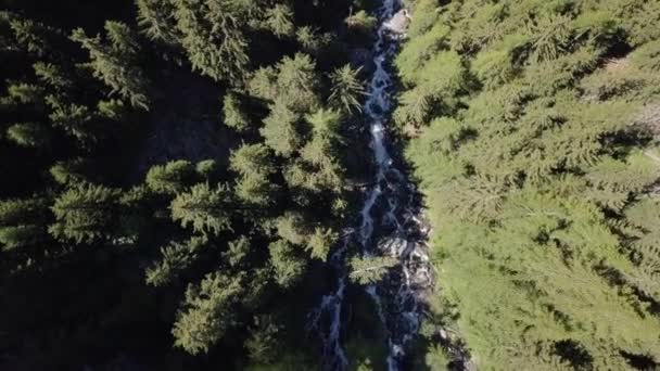 Wasserfall in den Alpen — Stockvideo