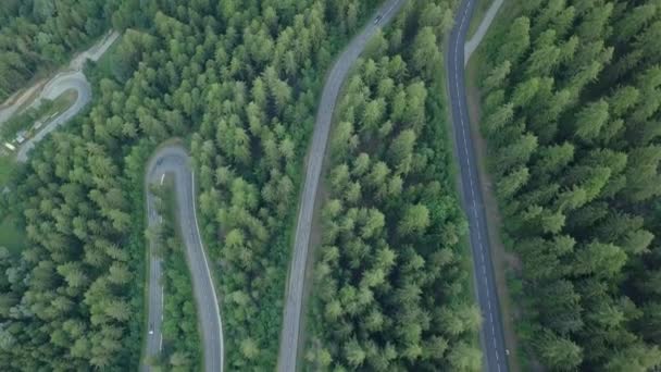 Luchtfoto boven de weg in Forest i — Stockvideo