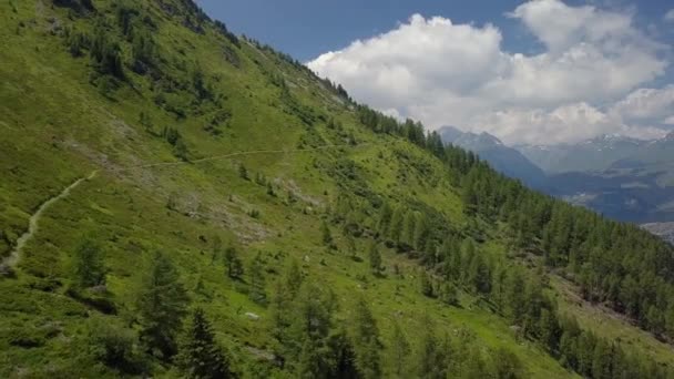 Sobrevolando los bosques alpinos - Vuelo aéreo — Vídeos de Stock