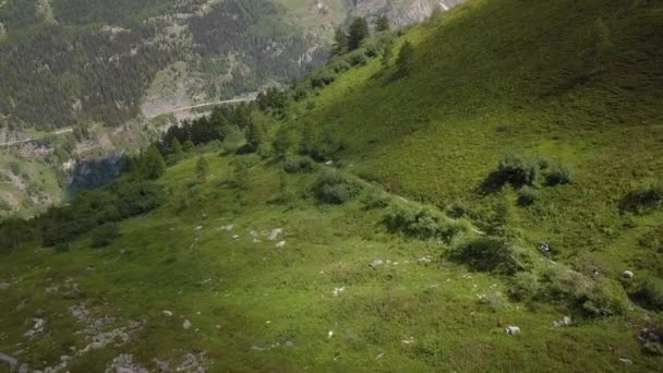 Dağ bisikletçisi Alpler 'in hava uçuşunda - 4k UHD — Stok video