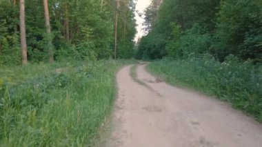 Rusya 'da yaz mevsiminde yeşil ormandaki orman yolunun görüntülerini tarıyorum.