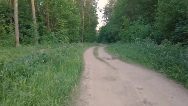 Panning Video Van Bosweg Het Groene Bos Tijdens Zomer Rusland — Stockvideo