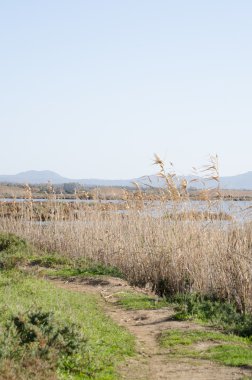 Porto Botte, Sardunya görünümünü