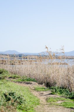 Porto Botte, Sardunya görünümünü