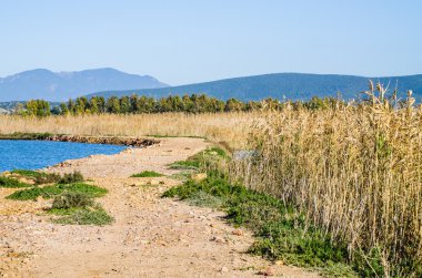 Porto Botte, Sardunya görünümünü