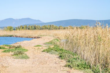 Porto Botte, Sardunya görünümünü