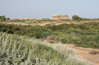 Sicilya selinunte, arkeolojik alanına