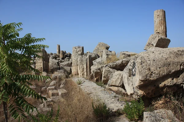 Sicilya selinunte, arkeolojik alanına — Stok fotoğraf