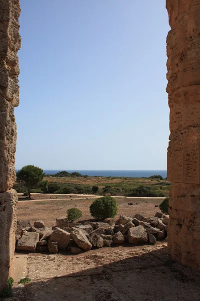 Area archeologica di Selinunte in Sicilia — Foto Stock