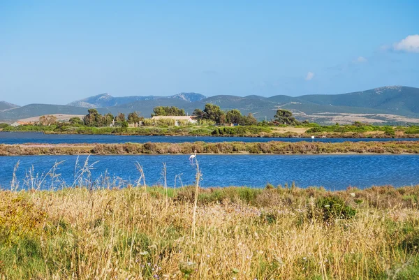 Ein blick auf porto botte, sardinien — Stockfoto