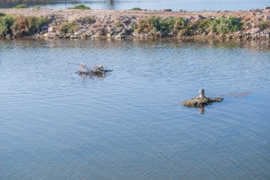 Porto Botte, Sardunya görünümünü