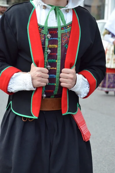 Halk Sardunya — Stok fotoğraf