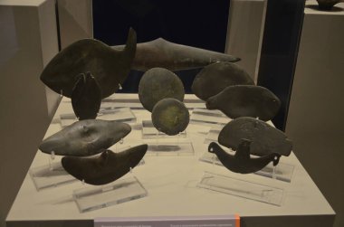 Mısır Torino Müzesi 'nde mumyalar, eserler ve Mısır bulguları sergileniyor.