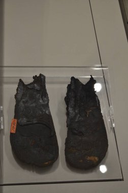 Mısır Torino Müzesi 'nde mumyalar, eserler ve Mısır bulguları sergileniyor.