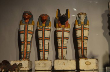 Mısır Torino Müzesi 'nde mumyalar, eserler ve Mısır bulguları sergileniyor.