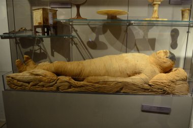 Mısır Torino Müzesi 'nde mumyalar, eserler ve Mısır bulguları sergileniyor.