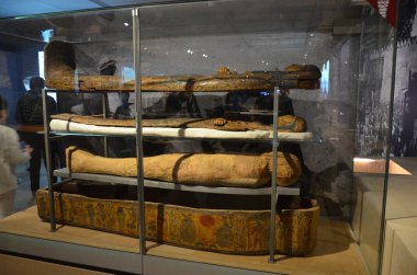 Mısır Torino Müzesi 'nde mumyalar, eserler ve Mısır bulguları sergileniyor.