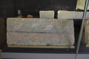 Mısır Torino Müzesi 'nde mumyalar, eserler ve Mısır bulguları sergileniyor.