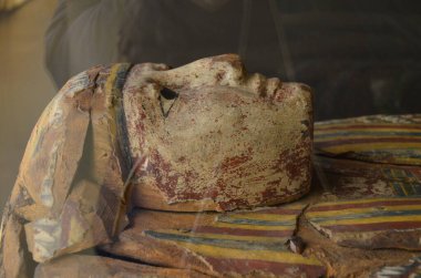 Mısır Torino Müzesi 'nde mumyalar, eserler ve Mısır bulguları sergileniyor.