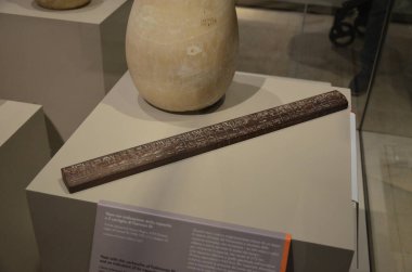 Mısır Torino Müzesi 'nde mumyalar, eserler ve Mısır bulguları sergileniyor.