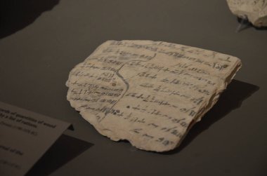 Mısır Torino Müzesi 'nde mumyalar, eserler ve Mısır bulguları sergileniyor.