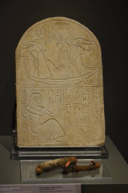 Mısır Torino Müzesi 'nde mumyalar, eserler ve Mısır bulguları sergileniyor.