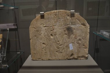 Mısır Torino Müzesi 'nde mumyalar, eserler ve Mısır bulguları sergileniyor.