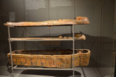 Mısır Torino Müzesi 'nde mumyalar, eserler ve Mısır bulguları sergileniyor.