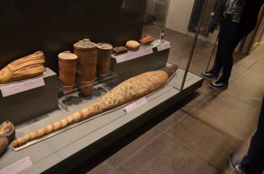 Mısır Torino Müzesi 'nde mumyalar, eserler ve Mısır bulguları sergileniyor.