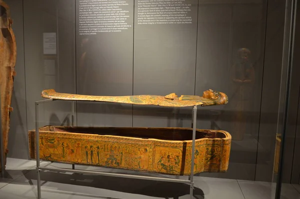 Mısır Torino Müzesi Nde Mumyalar Eserler Mısır Bulguları Sergileniyor — Stok fotoğraf