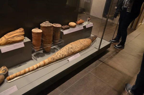 Mısır Torino Müzesi 'nde mumyalar, eserler ve Mısır bulguları sergileniyor.