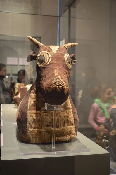 Mostra Mummie Manufatti Reperti Egizi Museo Egizio Torino — Foto Stock