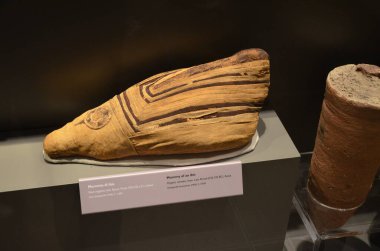 Mısır Torino Müzesi 'nde mumyalar, eserler ve Mısır bulguları sergileniyor.