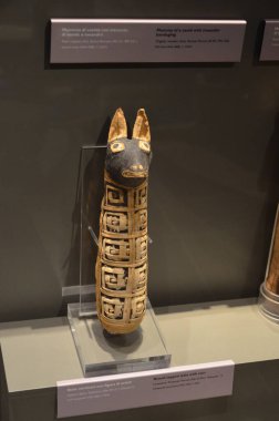 Mısır Torino Müzesi 'nde mumyalar, eserler ve Mısır bulguları sergileniyor.