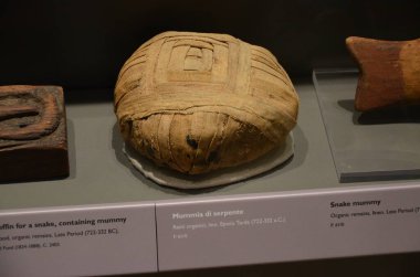 Mısır Torino Müzesi 'nde mumyalar, eserler ve Mısır bulguları sergileniyor.