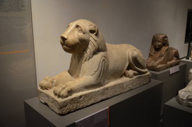 Mısır Torino Müzesi 'nde mumyalar, eserler ve Mısır bulguları sergileniyor.