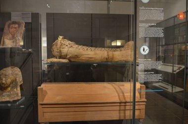 Mısır Torino Müzesi 'nde mumyalar, eserler ve Mısır bulguları sergileniyor.