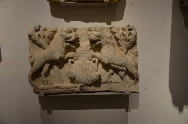 Mısır Torino Müzesi 'nde mumyalar, eserler ve Mısır bulguları sergileniyor.