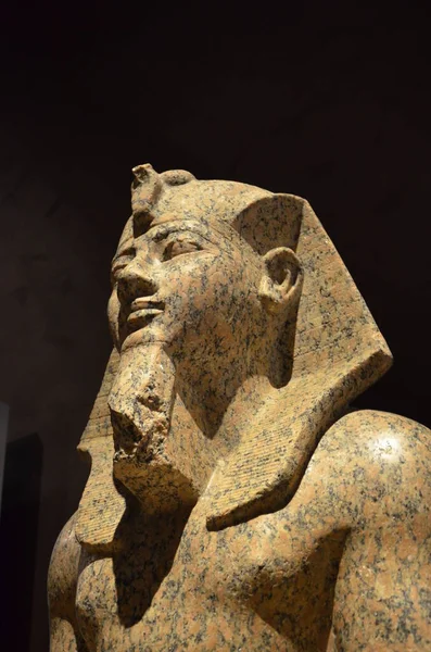 Výstava Mumií Artefaktů Egyptských Nálezů Egyptském Muzeu Turín — Stock fotografie