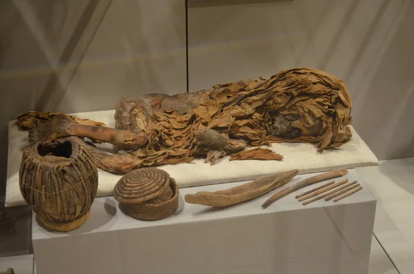 Έκθεση Μούμιες Αντικείμενα Και Αιγυπτιακά Ευρήματα Στο Αιγυπτιακό Μουσείο Του — Φωτογραφία Αρχείου