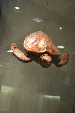 Frankfurt 'taki Senckenberg Müzesi' nin iç manzarası