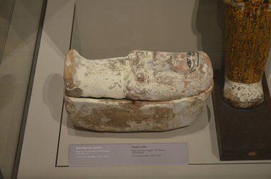 Mısır Torino Müzesi 'nde mumyalar, eserler ve Mısır bulguları sergileniyor.