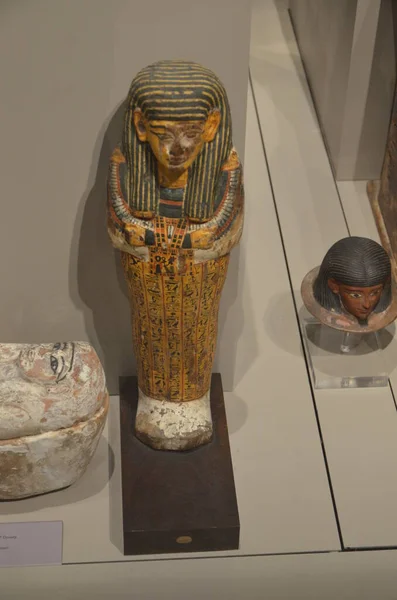 Exhibition Mummies Artifacts Egyptian Finds Egyptian Museum Turin — Stock Photo, Image