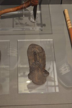 Mısır Torino Müzesi 'nde mumyalar, eserler ve Mısır bulguları sergileniyor.