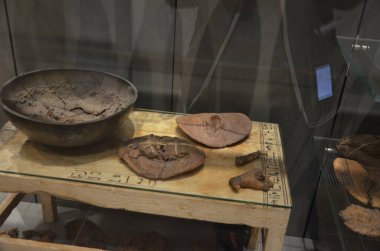 Mısır Torino Müzesi 'nde mumyalar, eserler ve Mısır bulguları sergileniyor.